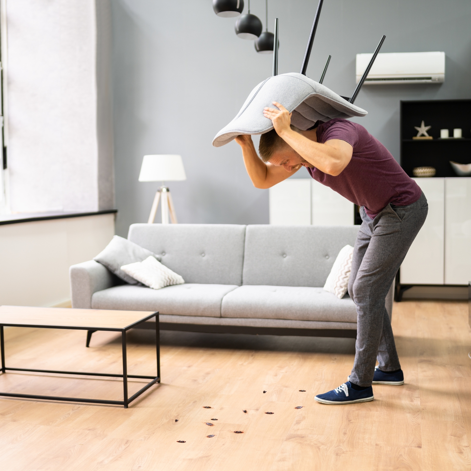 a man trying to terminate pests from his house