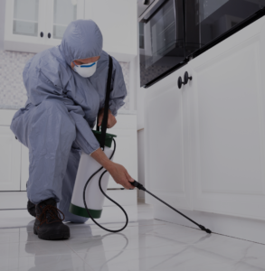 residential pest control in bangalore