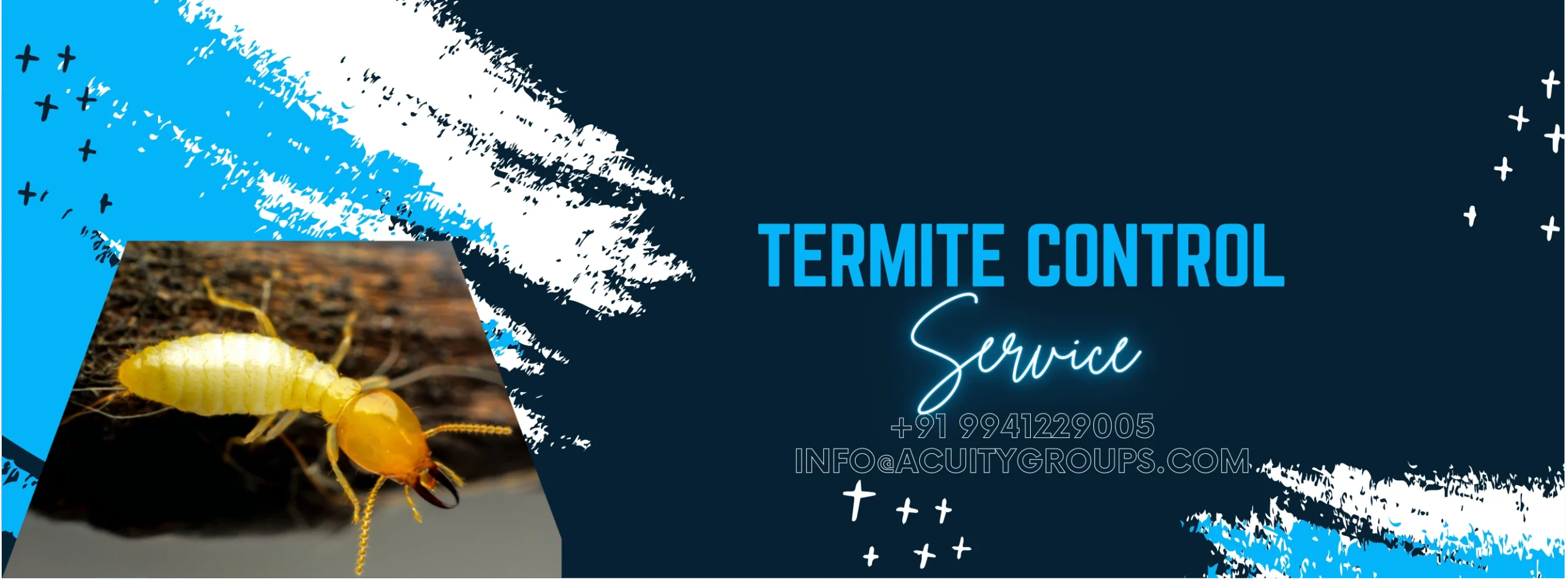 Pre-construction Termite control services blog